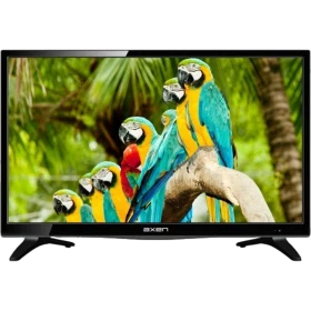 Axen LED HD Ready 39 inç televizyon, siyah çerçeveli tasarım ve ekranda renkli papağanlar