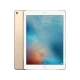 iPad Pro 32 GB 9.7 inc Altın