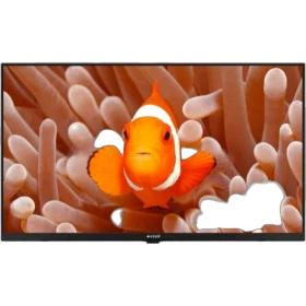 Arçelik A32K 586 Hotel HD Ready HD TV ekranında turuncu palyaço balığı görüntüsü bulunan LED televizyon