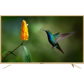 Sunny SN55LEDA88-G Ultra HD 4K televizyon, ekranda çiçek yanında uçan sinek kuşu görüntüsüyle