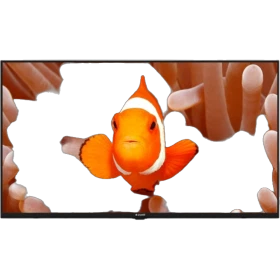 Arçelik A40K 586 Hotel Full HD FHD LED TV ekranında turuncu palyaço balığı ve eller görüntüsü