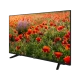 Arçelik A50 A 800 B Ultra HD 4K LED televizyon, ekranda kırmızı gelincik tarlası görüntüsü