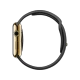 Apple Watch Edition 42 mm akıllı saat, 18 ayar sarı altın kasa ve siyah spor kordonuyla yandan görünüm