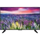 Vestel 65UD8800 Ultra HD 4K LED televizyon, çiçekli kır manzarası gösteren geniş ekranıyla