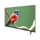 Arçelik A40 C 685 A Full HD FHD LED TV, renkli kuş görüntüsü gösteren ince ekran tasarımı