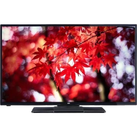 SEG 40SD6100 Full HD FHD LED televizyon, siyah çerçeveli ekranında kırmızı akçaağaç yaprakları görüntüsüyle