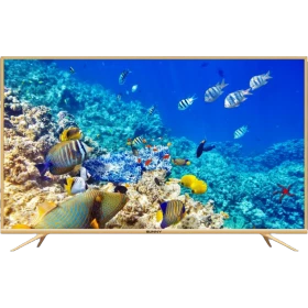 Sunny SN032LED013-G HD Ready HD TV, deniz canlıları görüntüsü gösteren ince çerçeveli televizyon