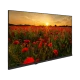Arçelik A32K 590G HD Ready LED TV, ekranda gün batımında kırmızı gelincik tarlası görüntüsü