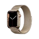 Watch Series 7 Cellular 41mm Paslanmaz Çelik Kasa ve Milano Loop Altın