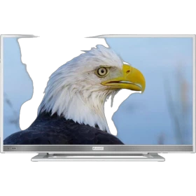 Arçelik A22-LW-5433 Full HD FHD LED televizyon, ekranda kartal görüntüsüyle önden görünüm