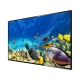 Beko B43K 680G Full HD FHD TV, ince siyah çerçeveli ve deniz canlıları görüntülü televizyon
