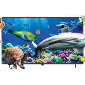 Axen 3D Uydu Alıcılı Full HD 43 inç LED televizyon, deniz canlıları görüntüsü ve siyah çerçevesiyle