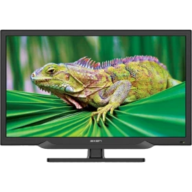 Sunny Axen Lavita 23 inç siyah LED televizyon, HD Ready ekranında iguana görüntüsüyle önden görünüm