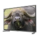 LG 49LB620V Full HD FHD LED televizyon, siyah çerçeveli ekranda su buffalo görüntüsü