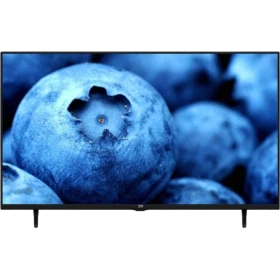 Beko B43 D 695 B Full HD FHD TV, siyah çerçeveli ekranında yaban mersini görüntüsü