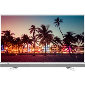Arçelik A49L 5740 4W Full HD FHD LED televizyon, palmiyeli sahil manzarasını ekranda gösteriyor