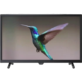 Sunny SN32DIL04 HD Ready HD TV, siyah çerçeveli televizyonda uçan renkli sinek kuşu görüntüsü