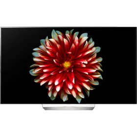 LG 55EG9A7V Full HD FHD OLED televizyon, genel renk; çiçek temalı ekran görünümüyle vitrin görseli
