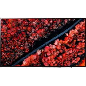 LG OLED65C9PLA Ultra HD 4K OLED Televizyon; canlı kırmızı manzara ekranı, genel siyah tasarım görünümü