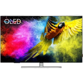 Grundig 65 GHO 9900 Ultra HD 4K OLED televizyon, siyah çerçeveli ve ekranda renkli papağan görüntüsü