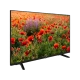 Arçelik A50 A 800 B Ultra HD 4K LED televizyon, ekranda kırmızı gelincik tarlası görüntüsüyle