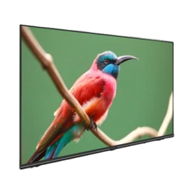 Arçelik A43 C 685 A Full HD LED televizyon, ekranda dal üzerindeki renkli kuş görüntüsüyle