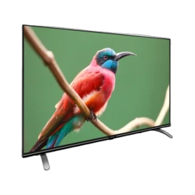 Arçelik A40 C 685 A Full HD LED televizyon, ekranda renkli kuş görüntüsüyle önden görünüm