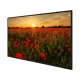 Arçelik A43K 582 Hotel Full HD LED televizyon, ekranda gün batımında kırmızı gelincik tarlası görüntüsü