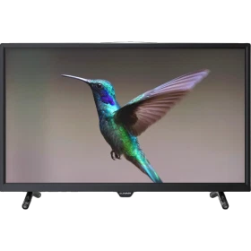 Sunny SN40DIL010 Full HD FHD TV, ekranda uçan sinek kuşu görüntüsüyle önden görünüm