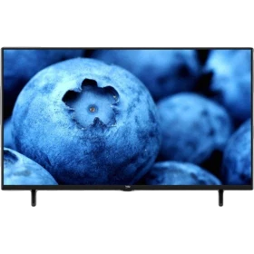 Beko B40 D 695 B Full HD FHD TV, siyah çerçeveli ekranında yaban mersini görüntüsüyle