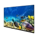 Beko B32K 590G HD Ready HD TV, siyah çerçeveli televizyon ekranında renkli mercan resifi görüntüsü