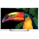 LG 55EG910V 55 inç Full HD OLED televizyon; canlı kuş ve tropik yapraklar ekran görüntüsü, genel renk