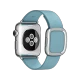 Apple Watch 38 mm akıllı saat, paslanmaz çelik kasa ve kutup mavisi modern tokalı kayış