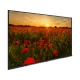 Arçelik A40K 690 Full HD FHD LED televizyon, ekranda gün batımında kırmızı gelincik tarlası