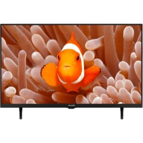 Arçelik A32 D 694 B HD Ready LED TV, ekranda mercanlar arasında turuncu palyaço balığı görüntüsü