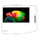 LG OLED65B65LA 65 inç Ultra HD 4K OLED televizyon; canlı renkli soyut görüntü ekranda görülüyor