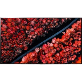 LG OLED55C9PLA Ultra HD 4K OLED televizyon, kırmızı ışık görüntülü ekranla vitrin görünümü, genel renk