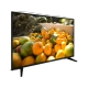 Grundig 43 GEF 5900 B Full HD LED televizyon, siyah çerçeveli ekranında renkli meyve görüntüsüyle