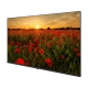 Arçelik A40K 590G Full HD FHD LED televizyon, ekranda gelincik tarlası manzarası gösteriyor