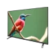 Arçelik A43 C 685 A Full HD FHD LED TV, dal üzerinde renkli bir kuş görüntüsü gösteriyor