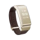 TalkBand B2 Akıllı Bileklik Altın
