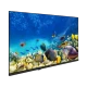 Beko B32K 590G HD Ready HD TV, deniz canlıları görüntüsü gösteren siyah televizyon