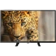 Axen Olympus 42 inç siyah LED televizyon, Full HD ekranında leopar görüntüsüyle