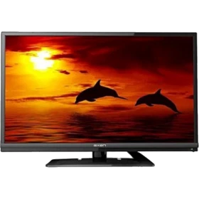 Axen LED HD Ready 19 inç televizyon, siyah çerçeveli ekranda gün batımı ve yunuslar görüntüsü