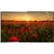 Arçelik A43K 680G Full HD LED televizyon, siyah çerçevesinde gün batımında gelincik tarlası görüntüsü