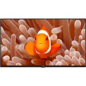 Arçelik A40K 586 Hotel Full HD FHD LED TV ekranında turuncu palyaço balığı ve eller görüntüsü