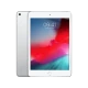 iPad Mini 5 256 GB 4G Gümüş