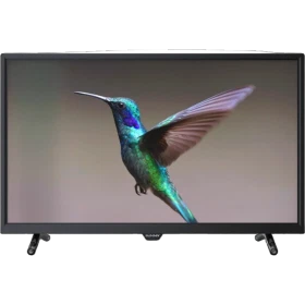 Sunny SN32DIL3037 HD Ready HD TV, siyah çerçeveli ekranda uçan sinek kuşu görüntüsü