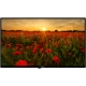 Arçelik A32K 582 HD Ready HD TV, siyah çerçeveli LED televizyon ve ekranda gelincik tarlası
