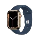 Watch Series 7 Cellular 41mm Paslanmaz Çelik Kasa ve Spor Kordon Altın
